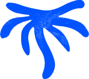 palmeira_